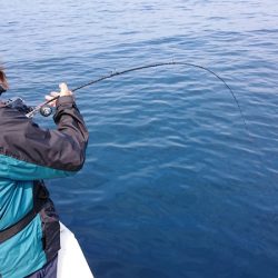 海皇丸 釣果