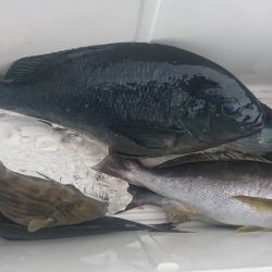 しば渡船 釣果
