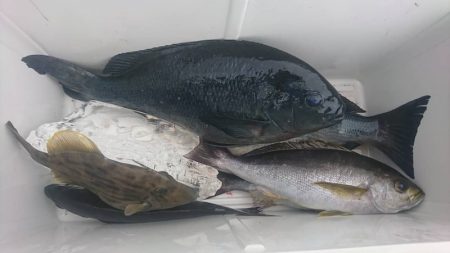 しば渡船 釣果