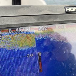 「LaGooN」蒼陽丸 日和号 釣果