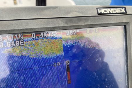 「LaGooN」蒼陽丸 日和号 釣果