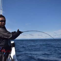 渡船屋たにぐち 釣果