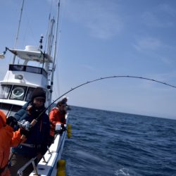 渡船屋たにぐち 釣果