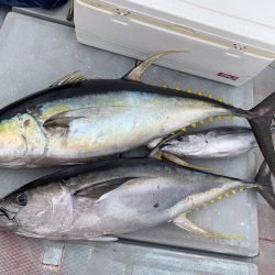 渡船屋たにぐち 釣果