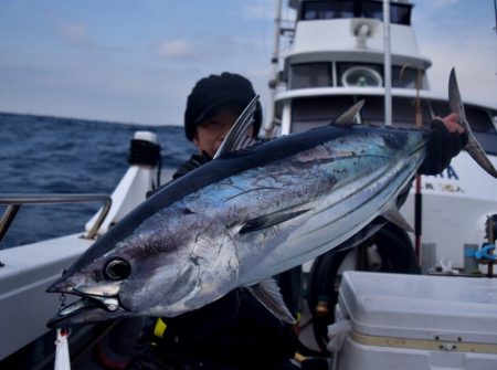渡船屋たにぐち 釣果