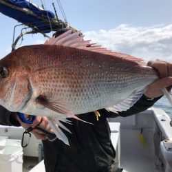 ランスルー 釣果