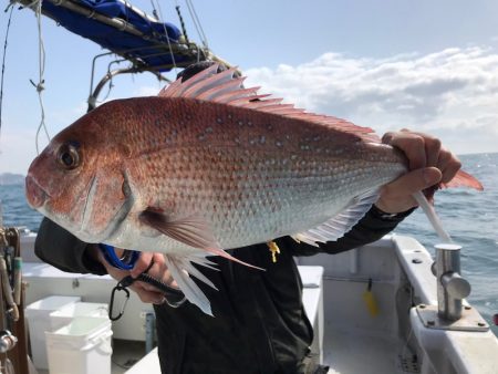 ランスルー 釣果