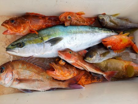 第二龍勢丸 釣果