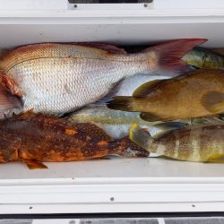 第二龍勢丸 釣果