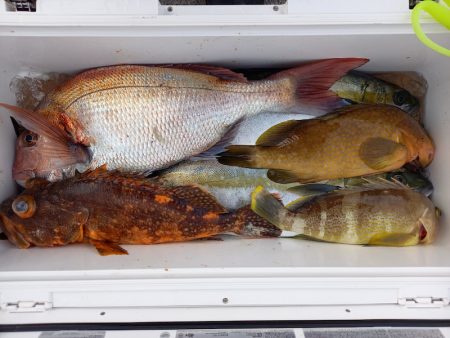 第二龍勢丸 釣果