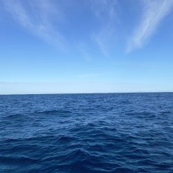 第二龍勢丸 釣果