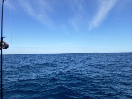 第二龍勢丸 釣果