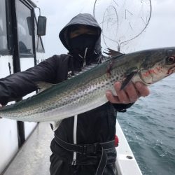 ランスルー 釣果