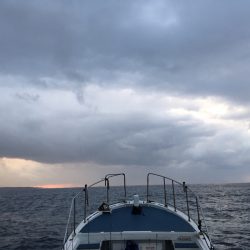 渡船屋たにぐち 釣果