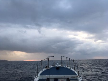 渡船屋たにぐち 釣果