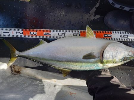 第二龍勢丸 釣果