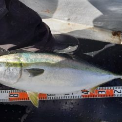 第二龍勢丸 釣果