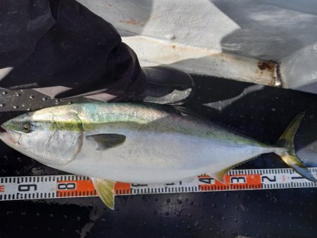 第二龍勢丸 釣果