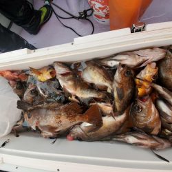 海龍丸（石川） 釣果