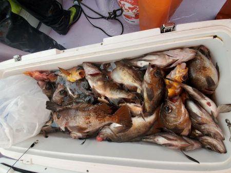 海龍丸（石川） 釣果