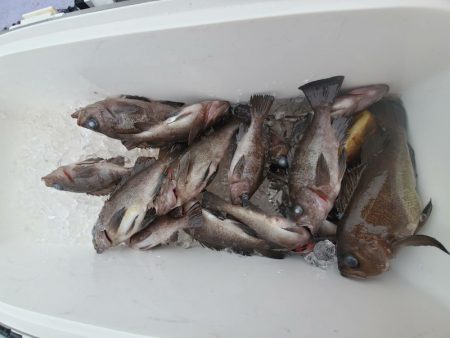 海龍丸（石川） 釣果