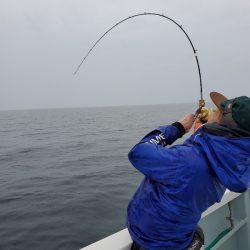 シーライオン 釣果