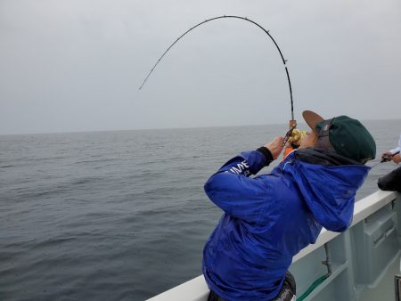 シーライオン 釣果