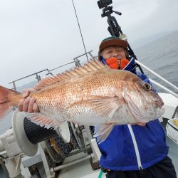 シーライオン 釣果