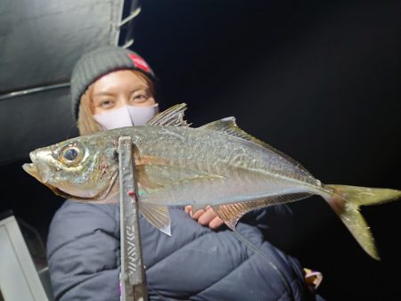 シースナイパー海龍 釣果