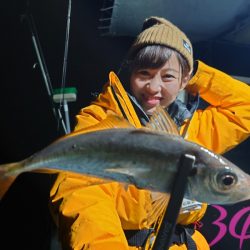 シースナイパー海龍 釣果