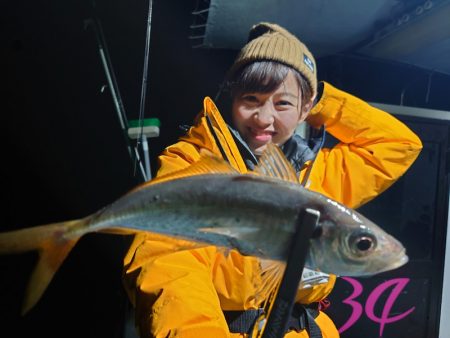 シースナイパー海龍 釣果