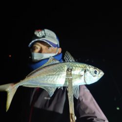 シースナイパー海龍 釣果