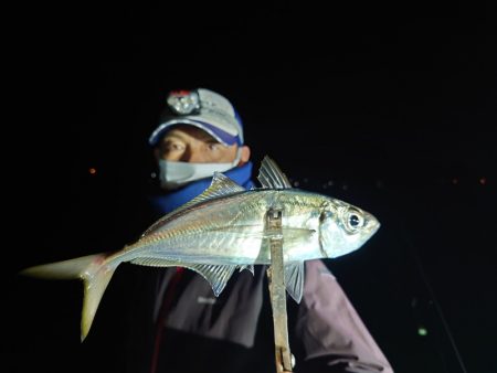 シースナイパー海龍 釣果
