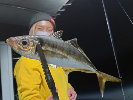 シースナイパー海龍 釣果