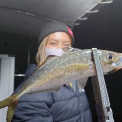 シースナイパー海龍 釣果