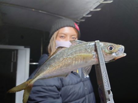 シースナイパー海龍 釣果