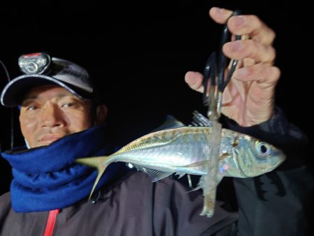 シースナイパー海龍 釣果