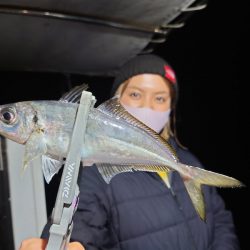 シースナイパー海龍 釣果