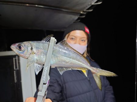 シースナイパー海龍 釣果
