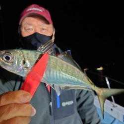 シースナイパー海龍 釣果