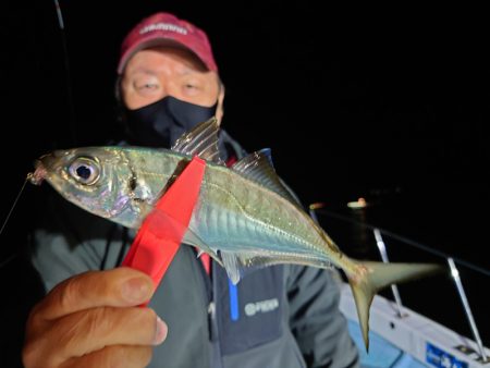 シースナイパー海龍 釣果