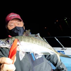 シースナイパー海龍 釣果