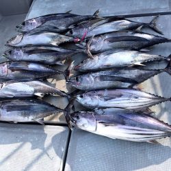 渡船屋たにぐち 釣果