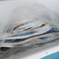 シースナイパー海龍 釣果