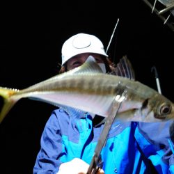 シースナイパー海龍 釣果