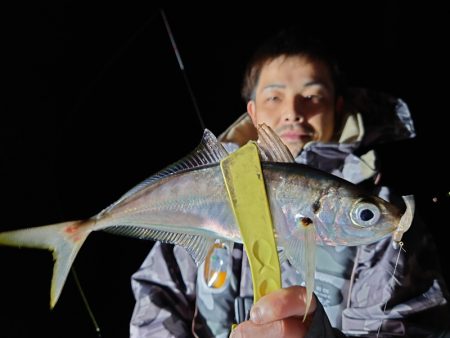 シースナイパー海龍 釣果