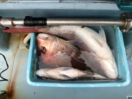 第二八坂丸 釣果