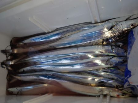 シースナイパー海龍 釣果