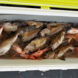 海龍丸（石川） 釣果