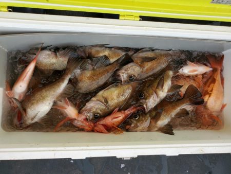 海龍丸（石川） 釣果